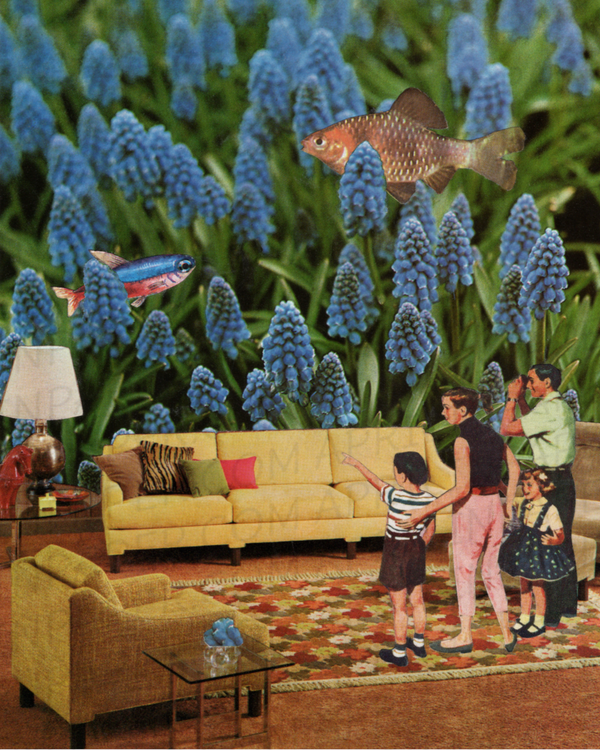 Aquarium Living Room print of hand cut collage