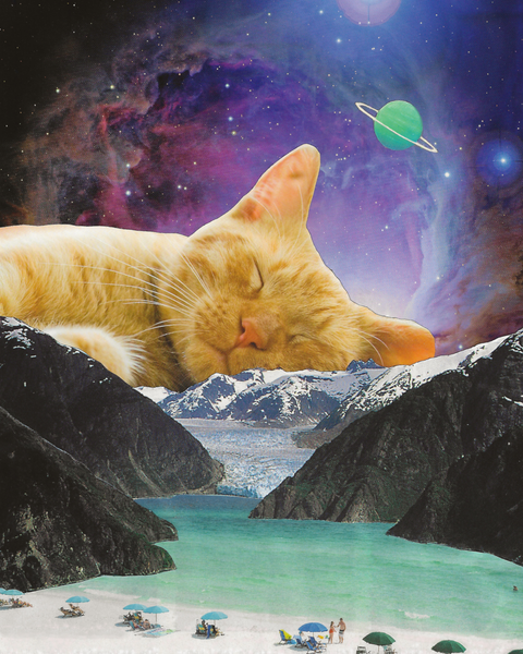 Glacier Cat Nap Collage Print