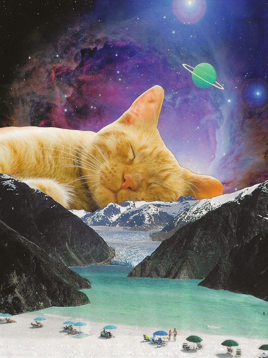 Glacier Cat Nap Collage Print