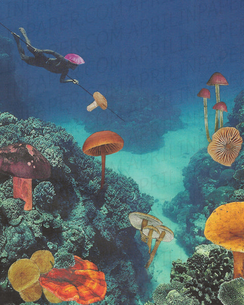 Diving For Mushrooms print of hand cut collage