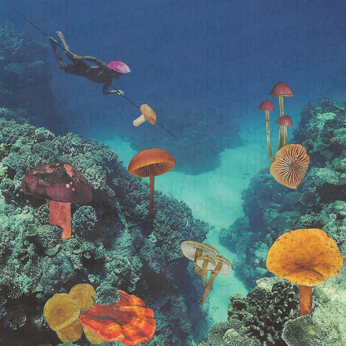 Diving For Mushrooms print of hand cut collage