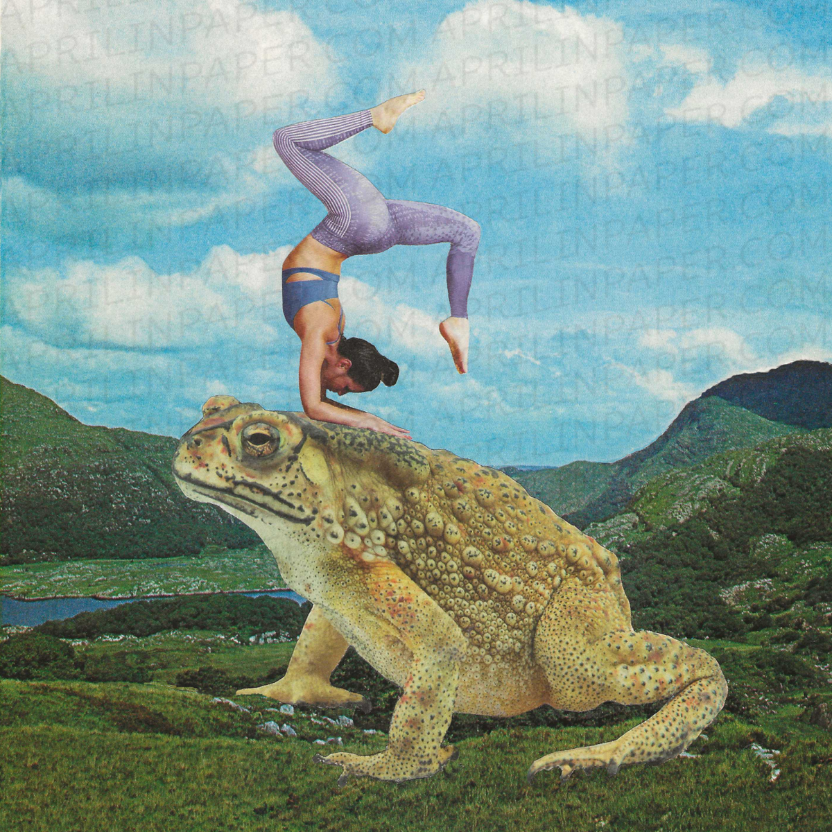 Toad Yoga print of hand cut collage