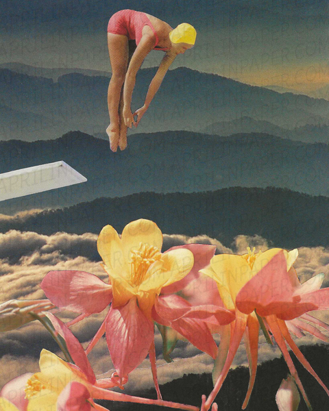 Flower Dive PRINT of hand cut collage