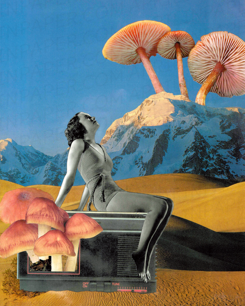 Mushroom Muse print of hand cut collage