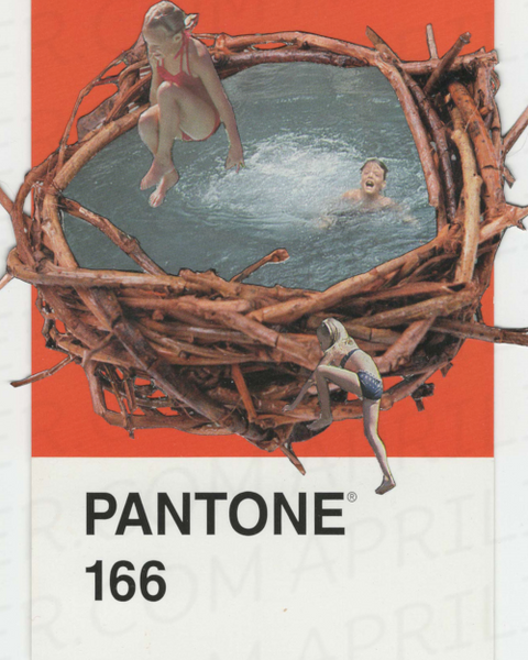 Swim Nest hand cut surreal on Pantone Postcard