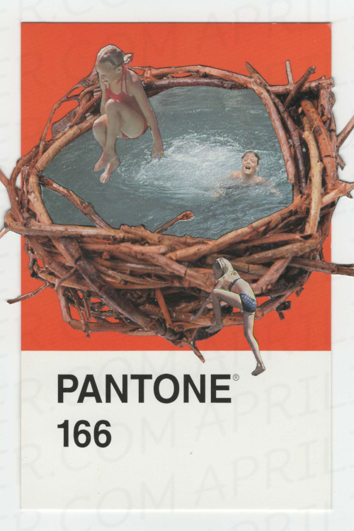 Swim Nest hand cut surreal on Pantone Postcard