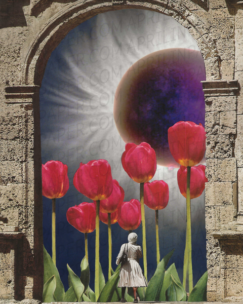 Tulip Eclipse Print of hand cut collage