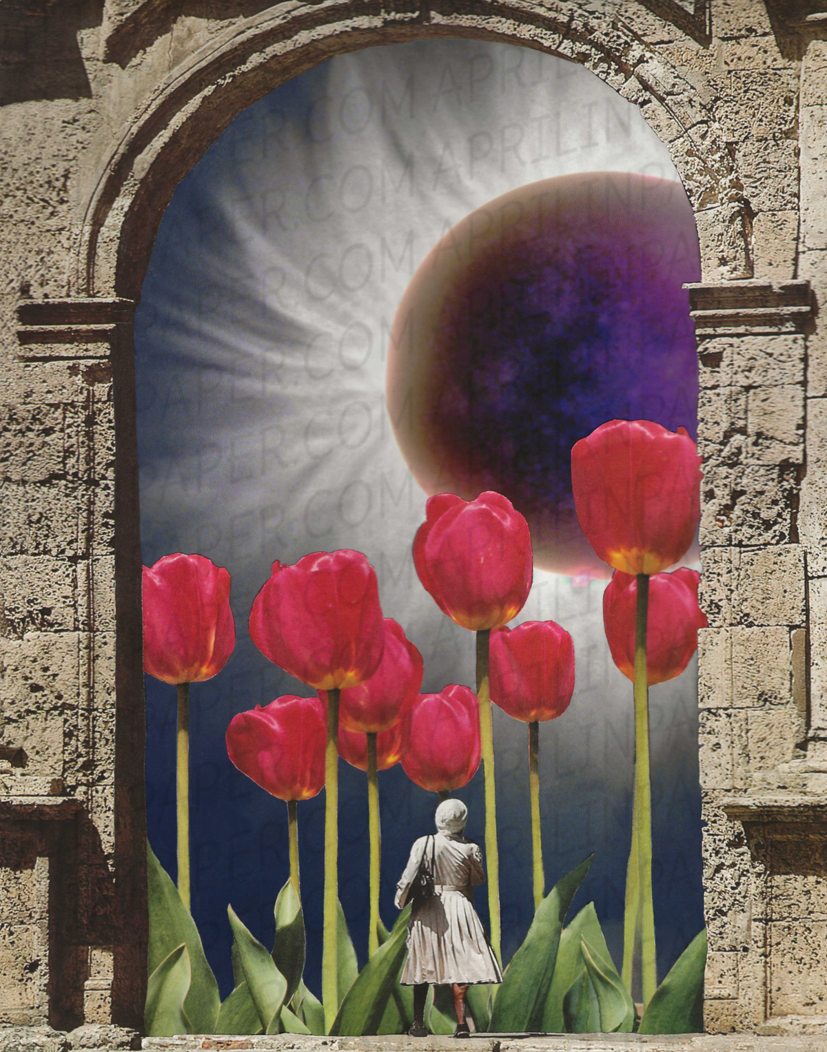 Tulip Eclipse Print of hand cut collage
