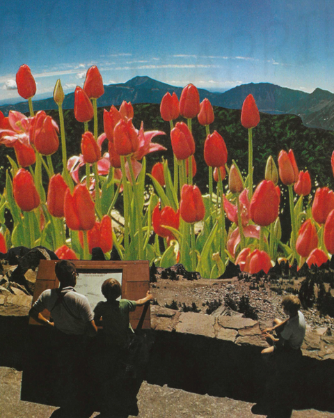 Tulip Overlook print of hand cut collage