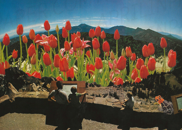 Tulip Overlook print of hand cut collage